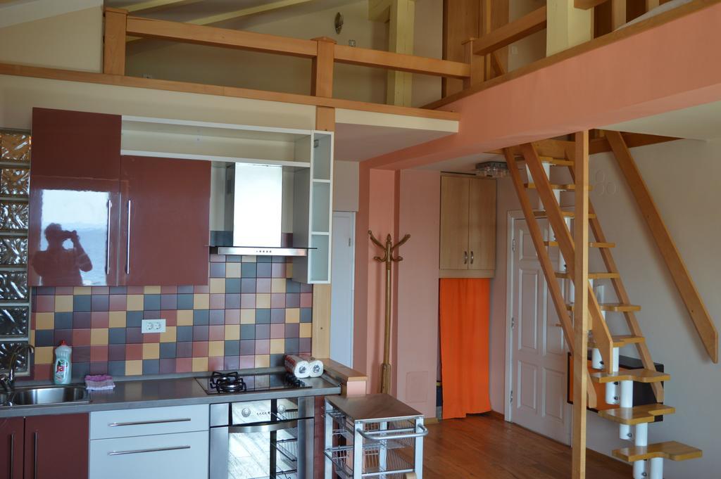Apartments Zlatko Delic إيكا الغرفة الصورة